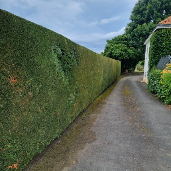 Grosbois Paysage