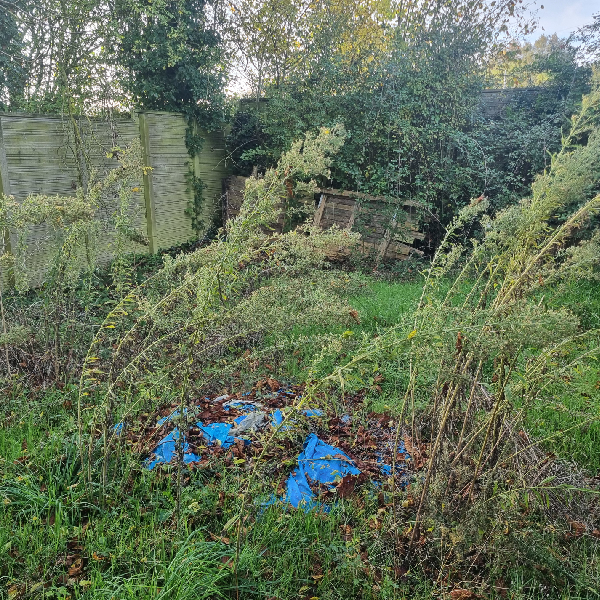 Grosbois Paysage